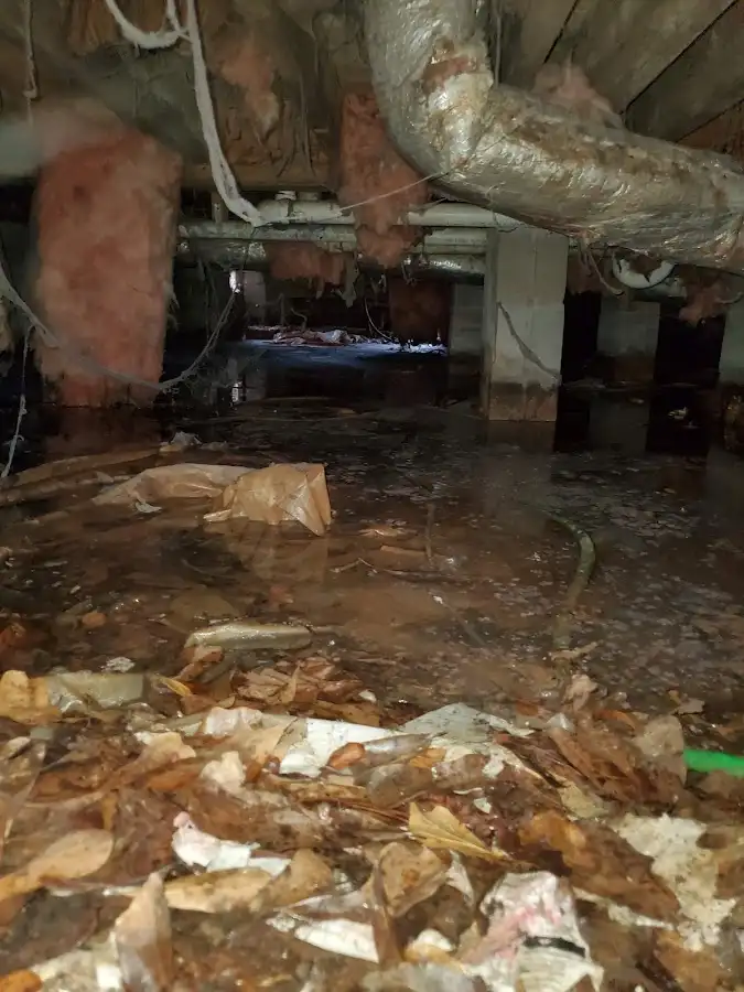 Crawl space flood assessment for Commercial Water Damage Restoration in Orange